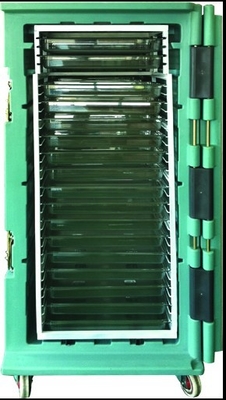 Μονωμένα προϊόντα 900L Rotomoulded εμπορευματοκιβωτίων για την αποθήκευση παγωμένων τροφίμων
